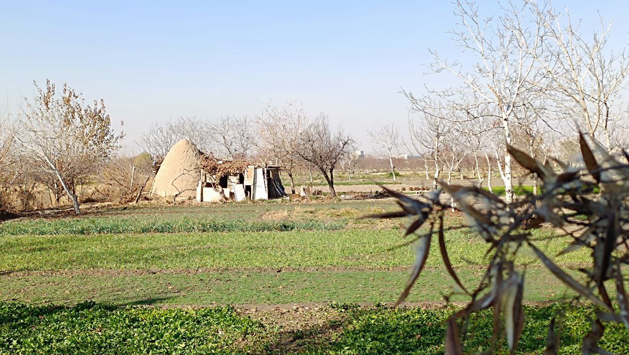 باغ در پاییز حکم آباد